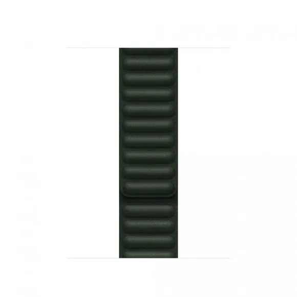 Apple Watch 41mm Band: Sequoia Green Leather Link - M/L