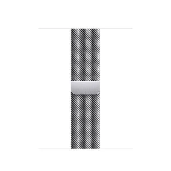 Apple Watch 41mm Band: Silver Milanese Loop