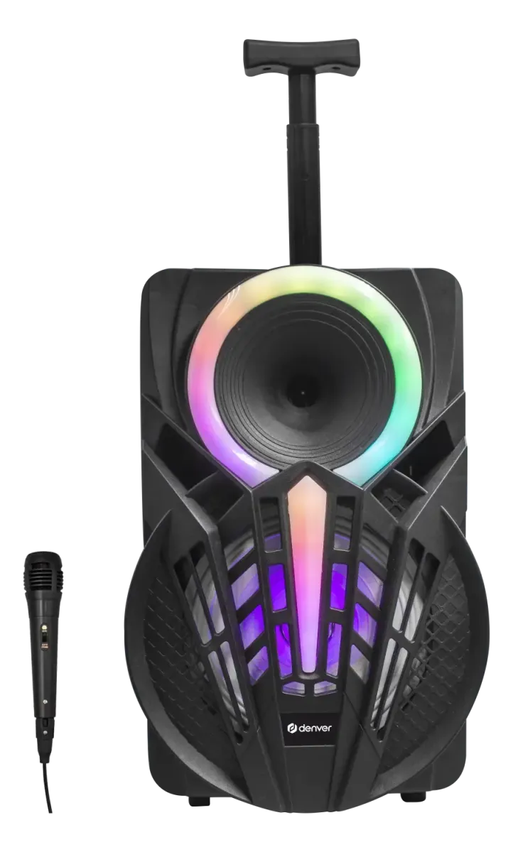 Denver Audio zvučnik TSP-301