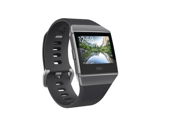 FITBIT Smart sat Ionic FB503GYBK GRAY