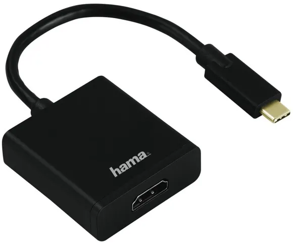 HAMA Adapter 135726 AB