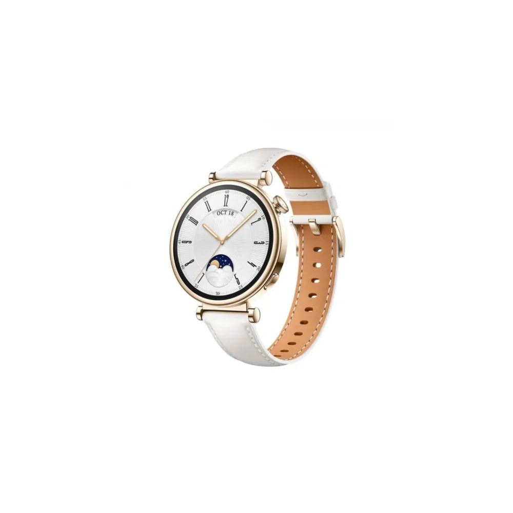 Huawei Watch GT4 Aurora-B19L Beli