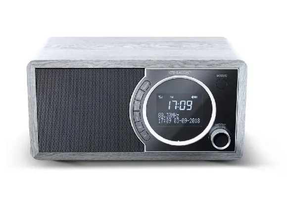 Sharp Digitalni bluetooth radio DR-450 - Sivi