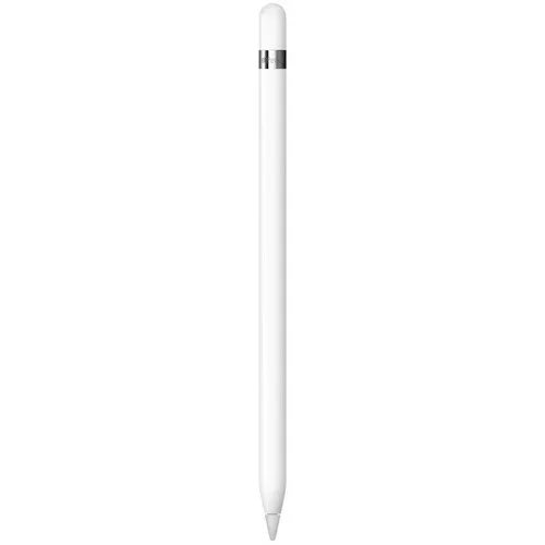 APPLE Pencil (1st Generation) (2025) myqw3zm / a