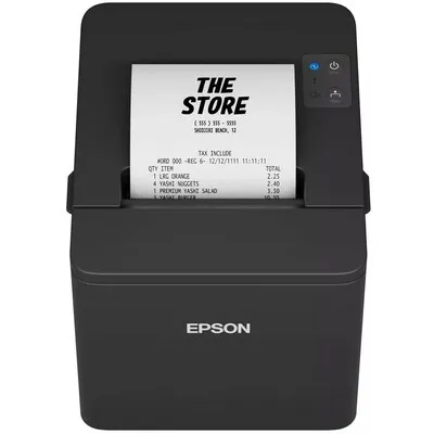 EPSON TM-T20IV-101