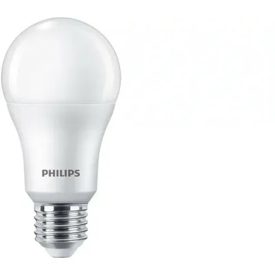 PHILIPS PS696    13W(100W) E27 A67 CW FR SET 3/1