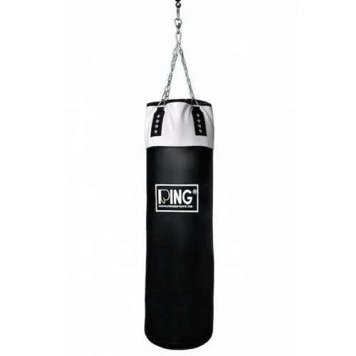 RING RS DZ120BW