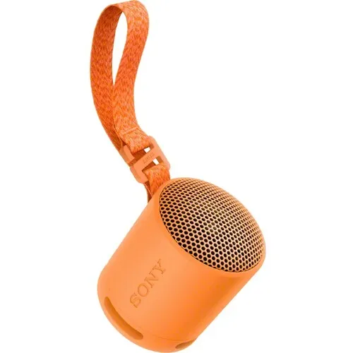SONY SRSXB100D.CE7