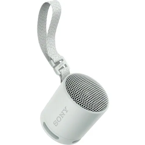 SONY SRSXB100H.CE7