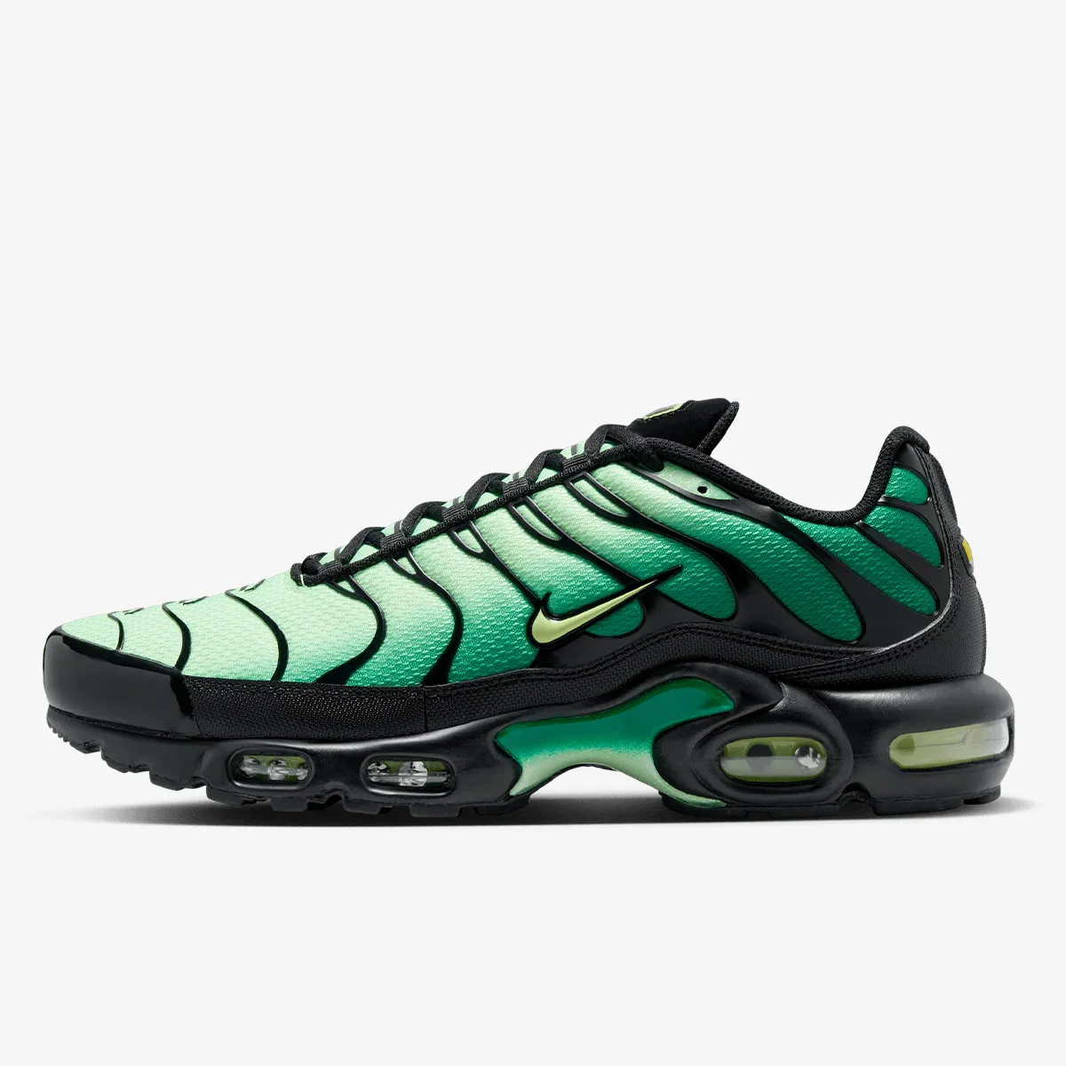 NIKE Patike Air Max Plus