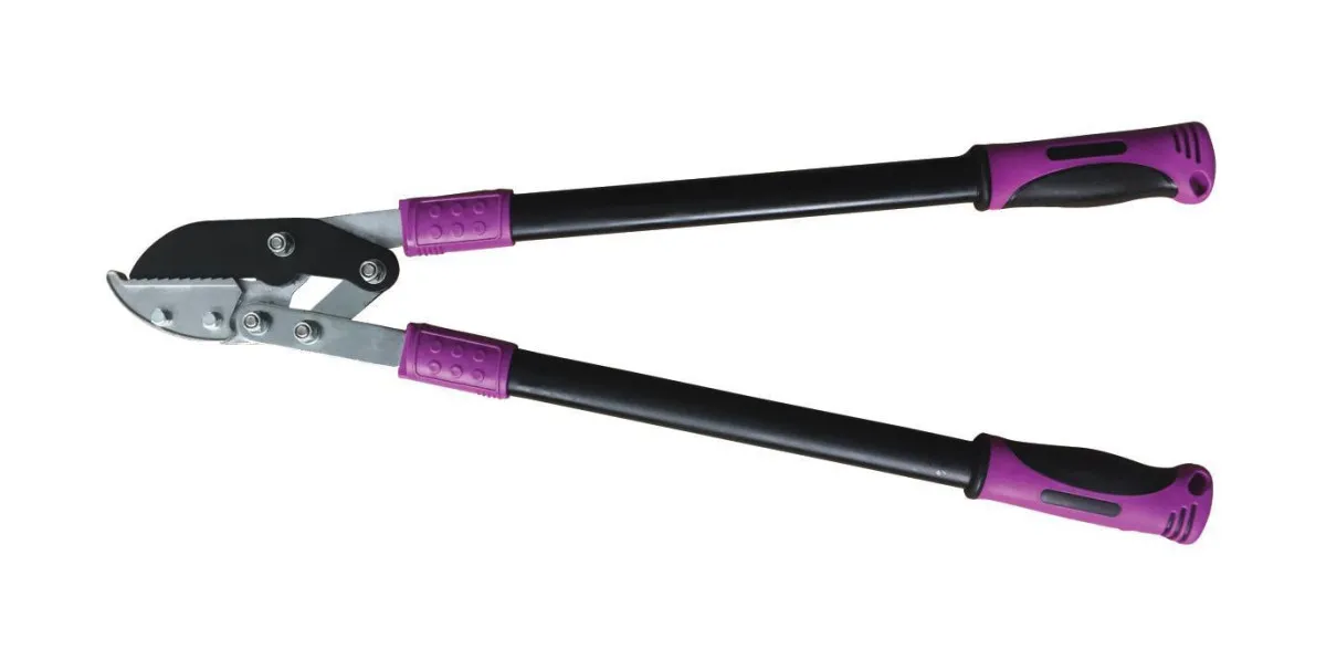 NEXSAS MAKAZE DVORUCNE NL-040