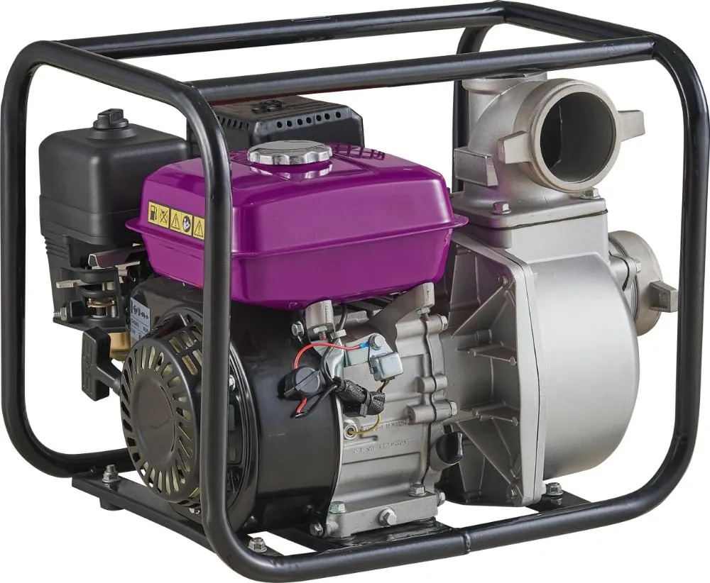 NEXSAS MOTORNA PUMPA NXWP-30