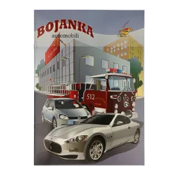 BOJANKA  AUTOMOBILI