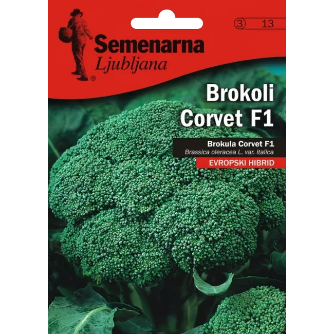Brokoli corvet f1 0,9 gr