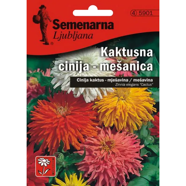 Cinija kaktus mix 5901