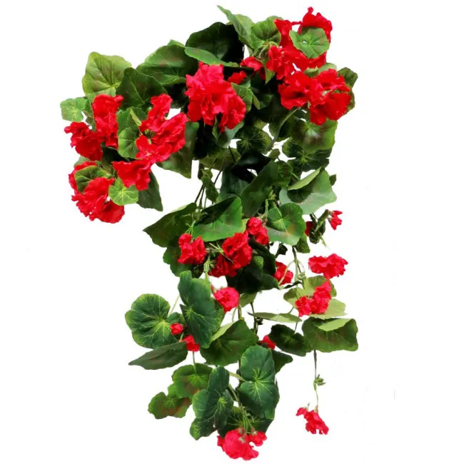 LOZICA MUSKATLA  duzina - 65cm  sirina - 48cm