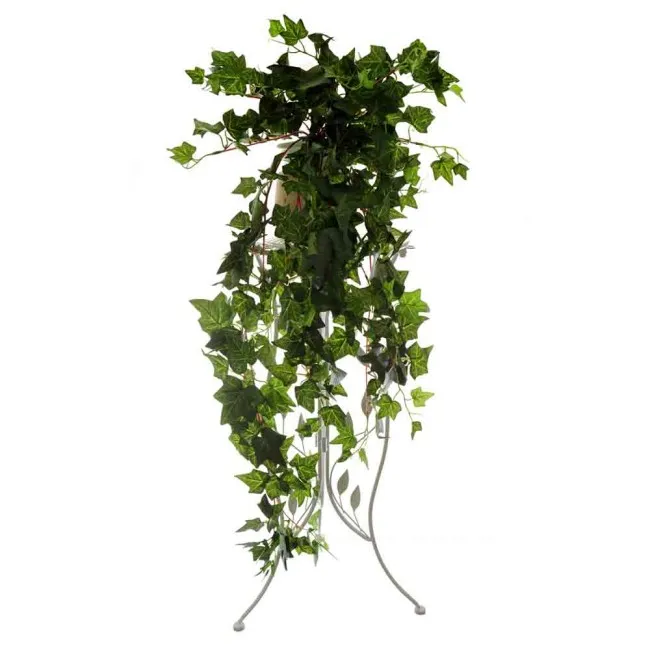 LOZICA SITNOLISNA HEDERA  duzina - 97cm  sirina - 42cm