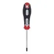 Šrafciger p ph1x80