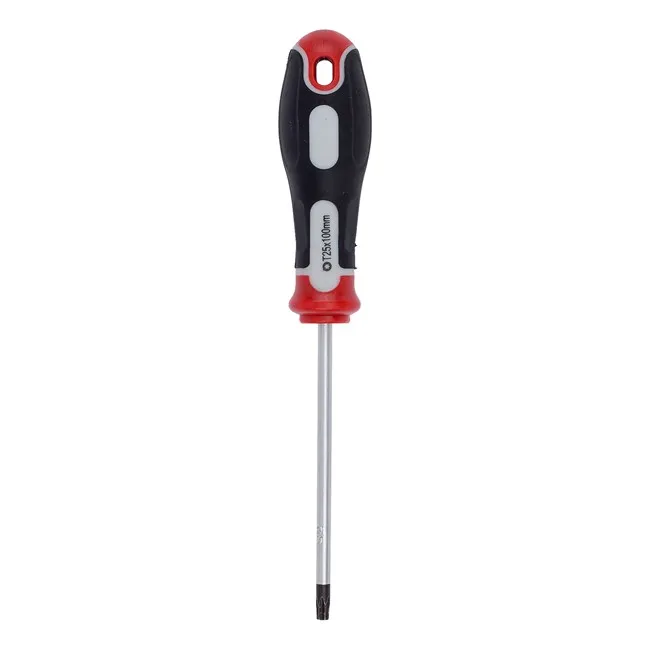Šrafciger torx t25x100