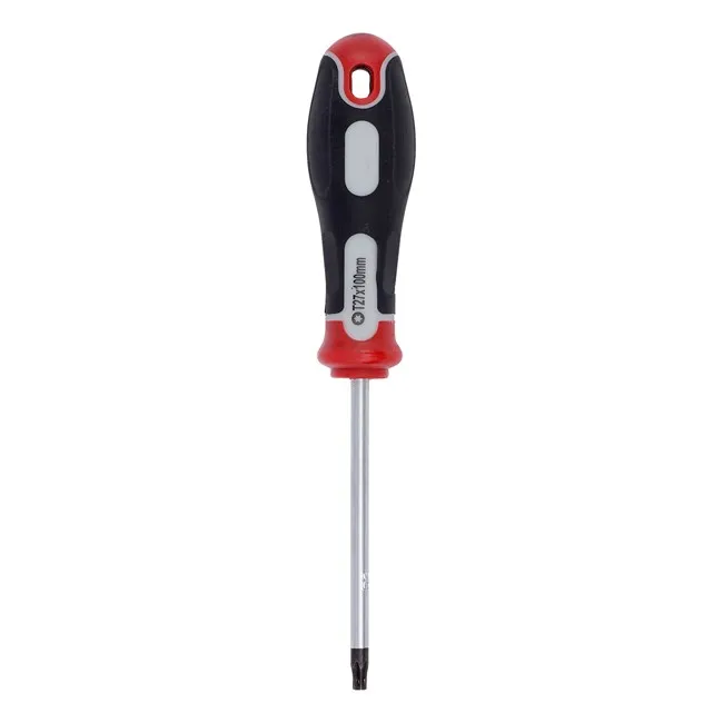 Šrafciger torx t27x100