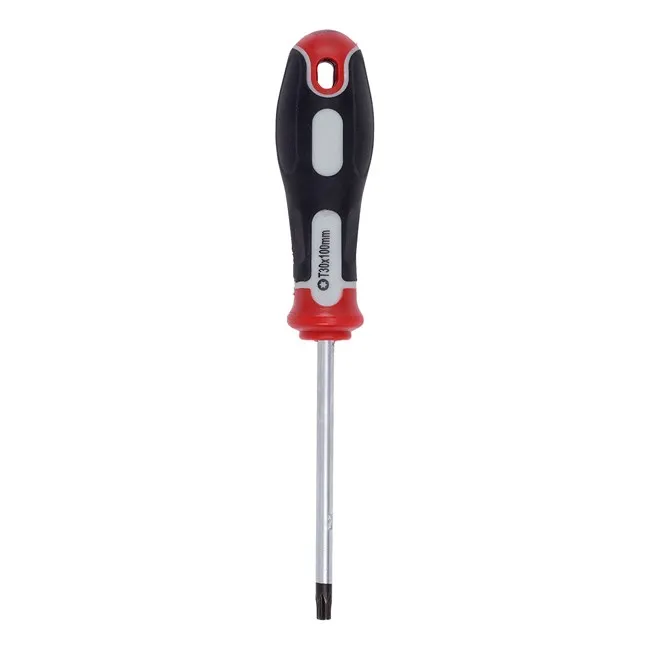 Šrafciger torx t30x100