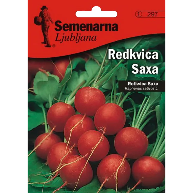 Rotkvica saksa 4 gr