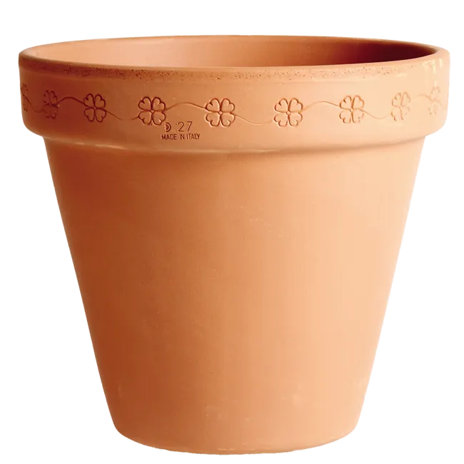 SAKSIJA DAISY  23cm