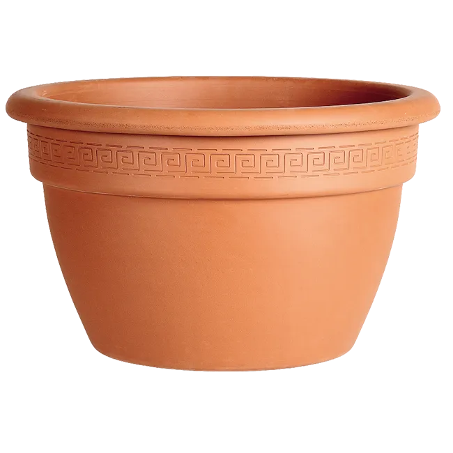 SAKSIJA ZVONASTA PLITKA  32cm