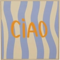 SLIKA CIAO 26CM X 31CM