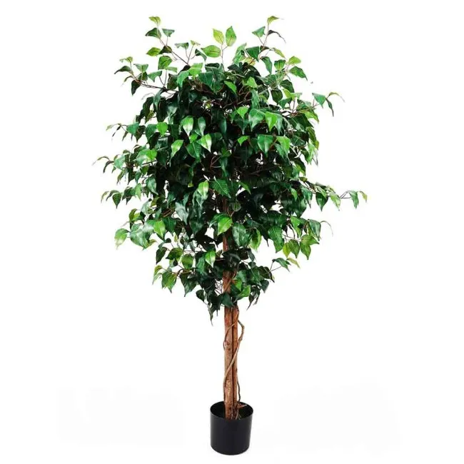 STABLO BENDZAMIN ZELENI  H - 140cm