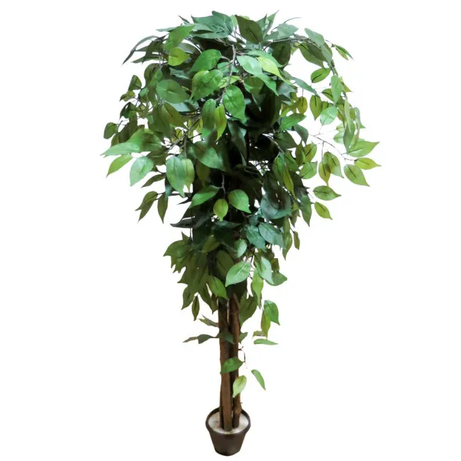STABLO BENDZAMIN ZELENI  H - 140cm