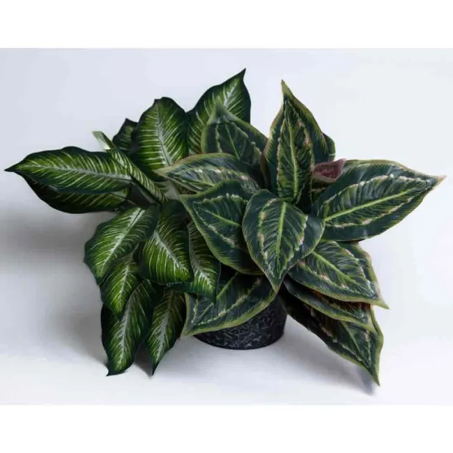 VESTACKE BILJKE MIX sirina - 42cm  visina - 40cm