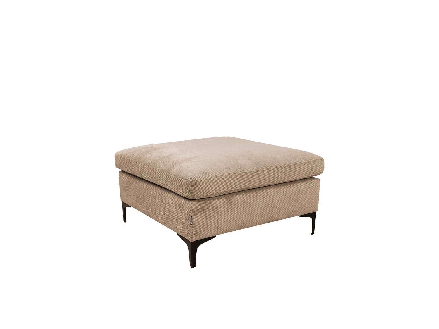 Tabure Bologna