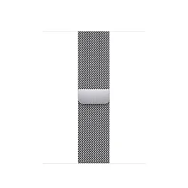 Apple Watch 41mm Band: Silver Milanese Loop