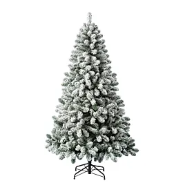 Evergreen Jelka Oxford Pine 210cm