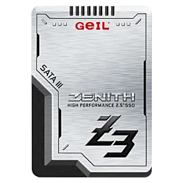 GZ25Z3-1TBP 960GB+ SATA GEIL