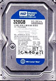 HDD 3,5" SATA2 7200 320 GB WD Caviar Blue WD3200AAJS, 8
