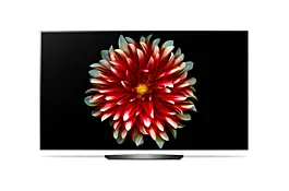 LG televizor OLED 55EG9A7V.AEE