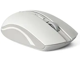 Rapoo Bežični miš MIS01613