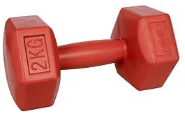 Ring Bučica RX PD-2
