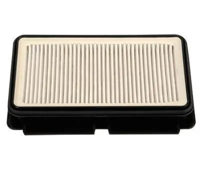 Rowenta Hepa filter ZR902501