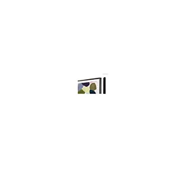 Samsung Ram VG-SCFT65BW/XC