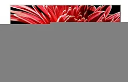 Sony Smart televizor KD55XG8596BAEP