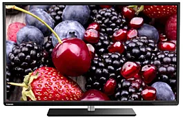 Toshiba Smart Televizor 48L3433DG