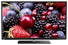 Toshiba Televizor 48L1453DN, LED, 48" (122 cm)
