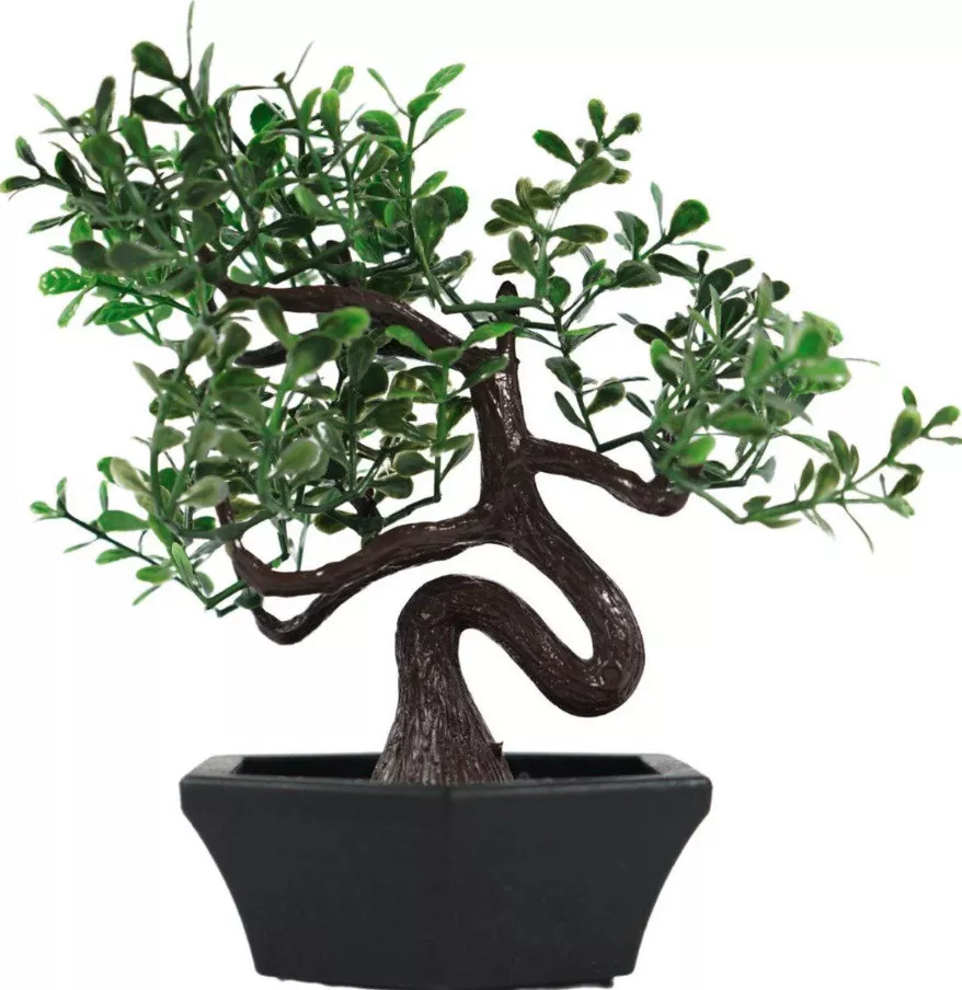 BONSAI