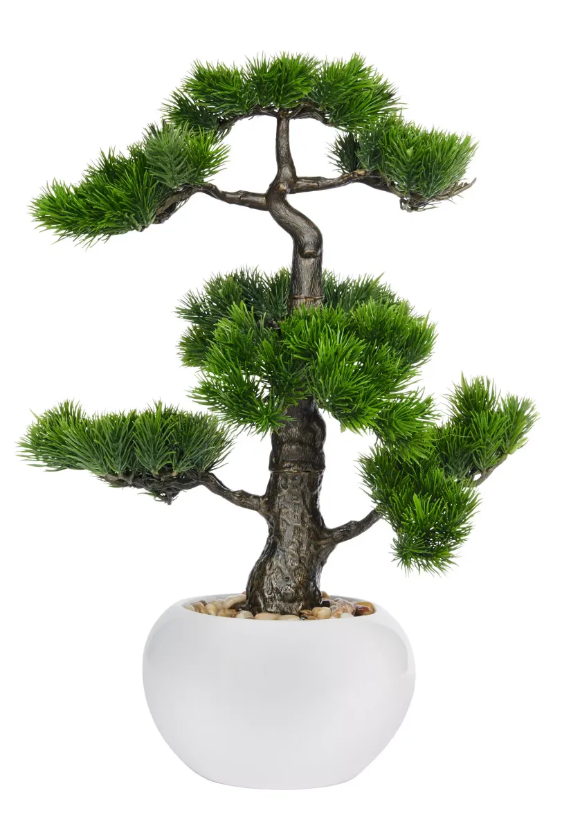 BONSAI