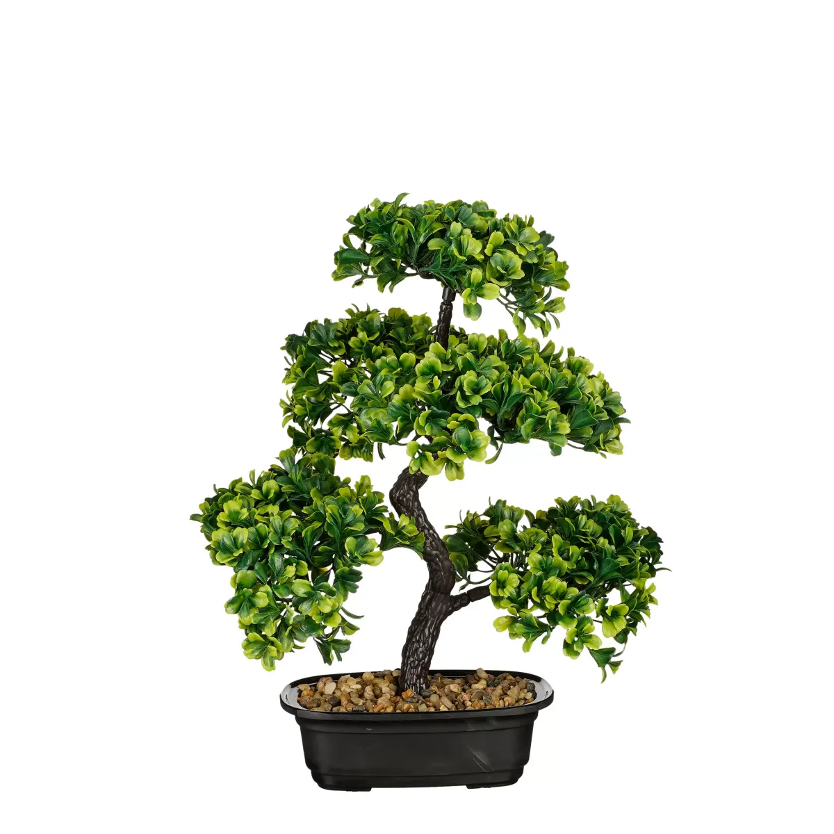 BONSAI