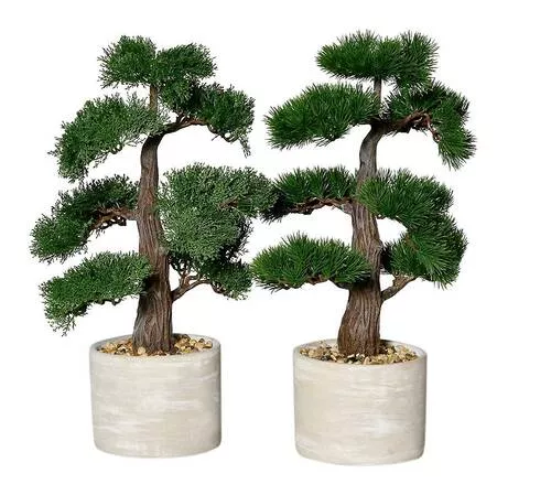 BONSAI