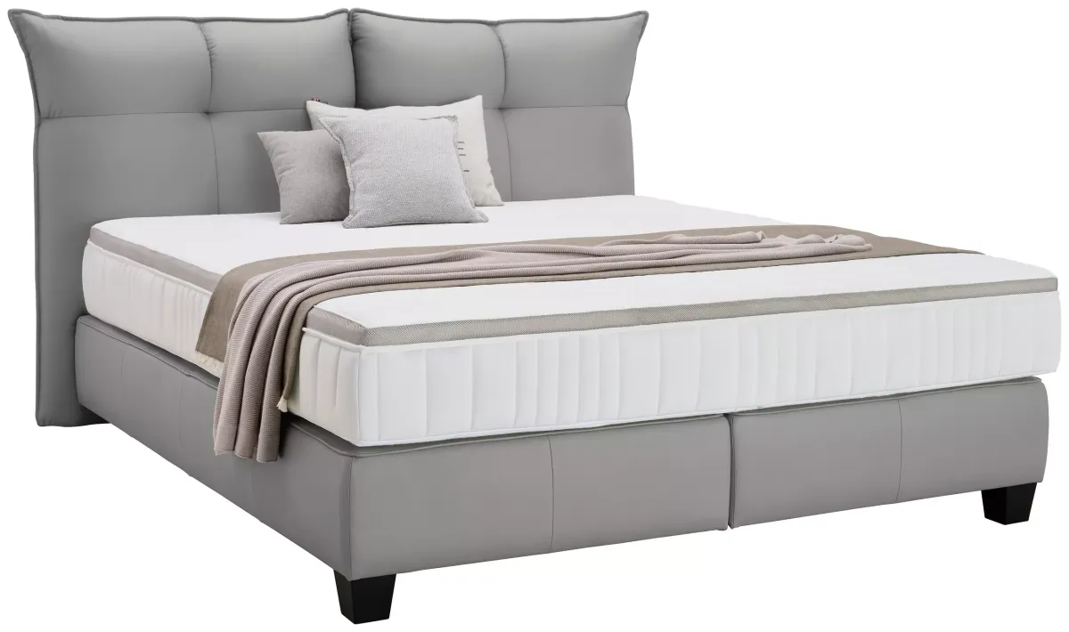 BOXSPRING KREVET siva